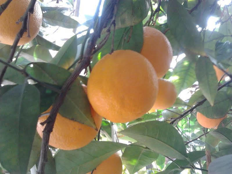 Alojamiento Rural El Valle Durcal Bagian luar foto